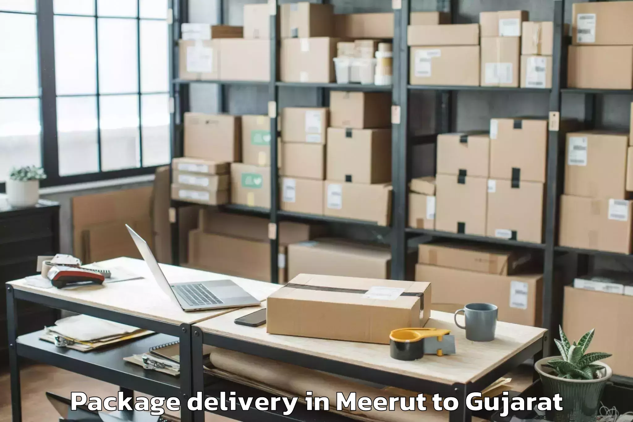 Get Meerut to Jhagadia Package Delivery